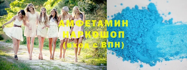 шишки Бородино