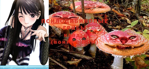 ECSTASY Бугульма