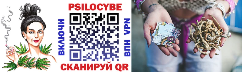 Галлюциногенные грибы прущие грибы  blacksprut вход  Елизово  закладки 